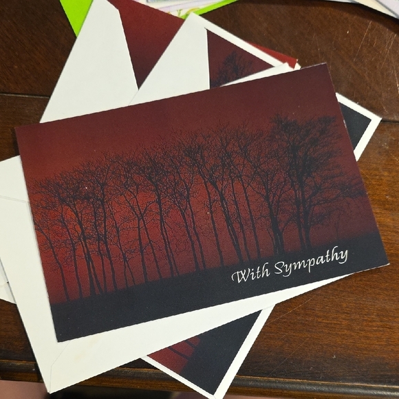 (J39) Sympathy Cards Set - Assorted Colors 13 Cards Total - Picture 2 of 12